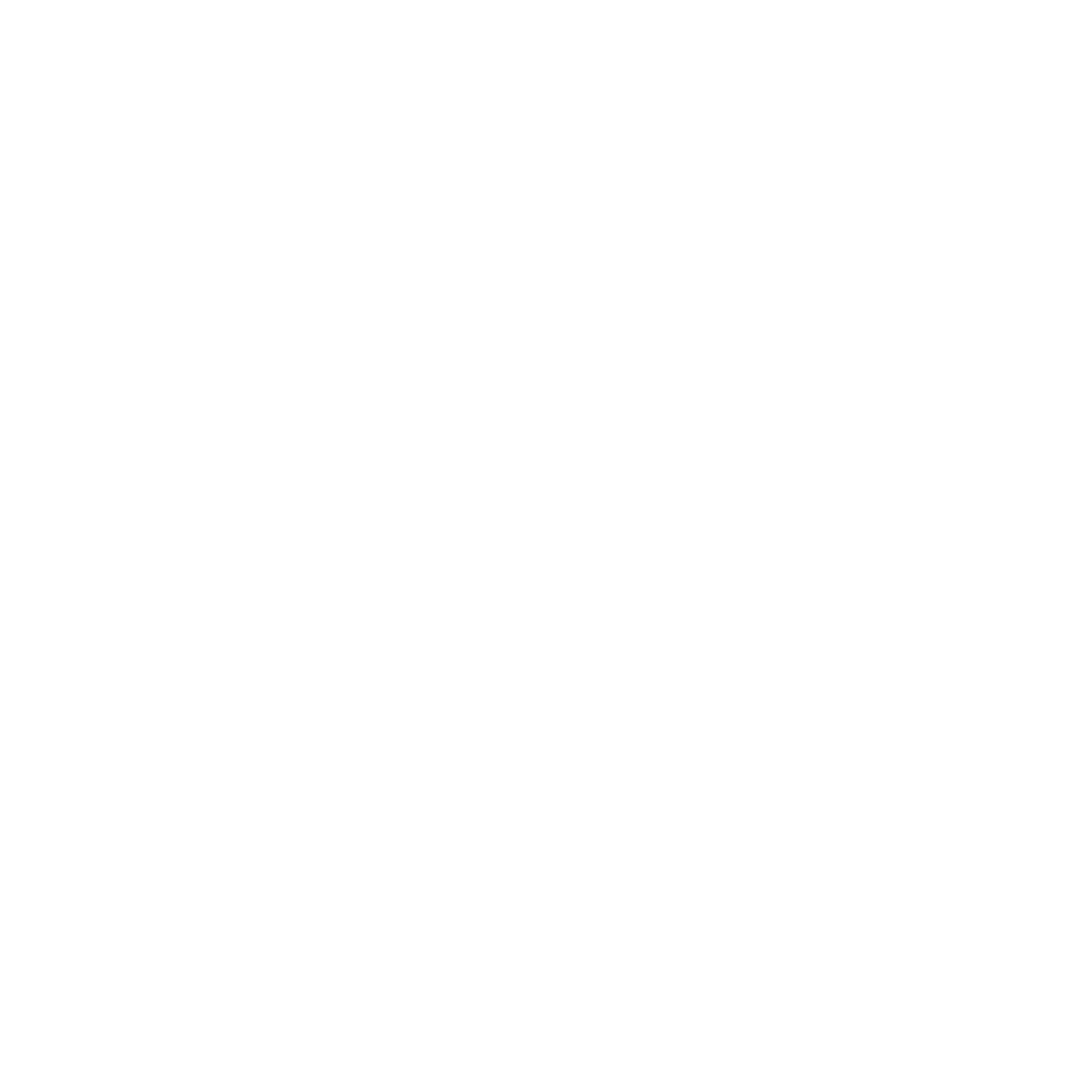 Alarcon Trading Inc.
